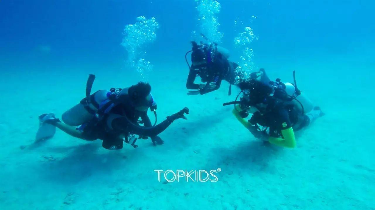 俄罗斯加里宁格勒州将借助北方海路巩固对华贸易